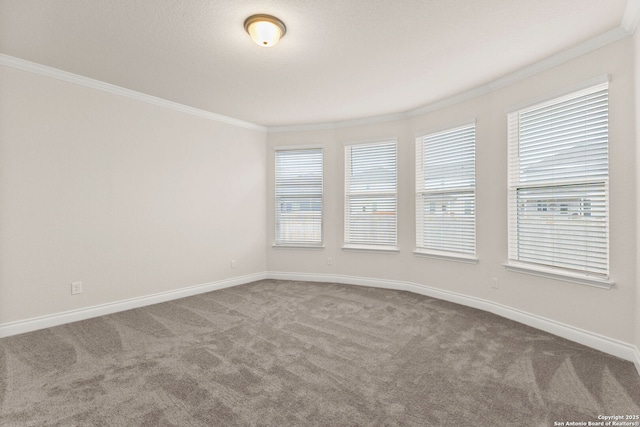 carpeted empty room with ornamental molding and a healthy amount of sunlight