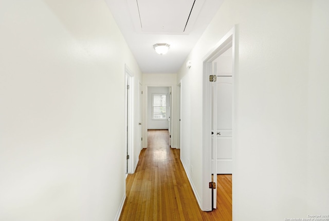 hallway with hardwood / wood-style floors