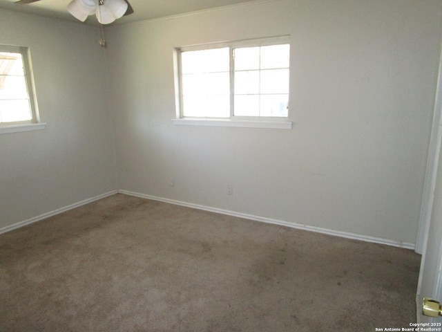 spare room with ceiling fan and carpet