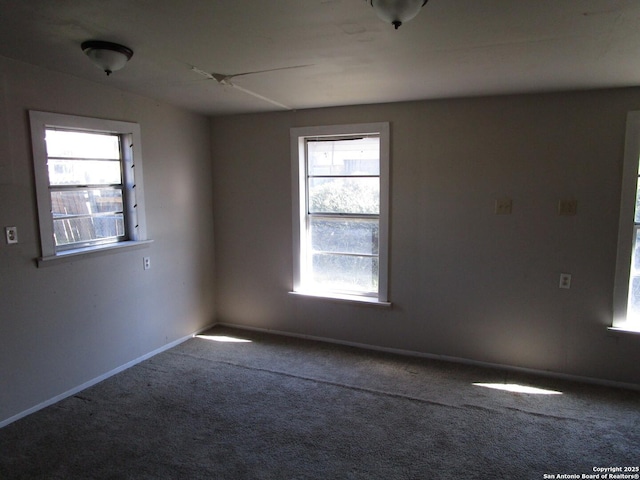 empty room featuring carpet