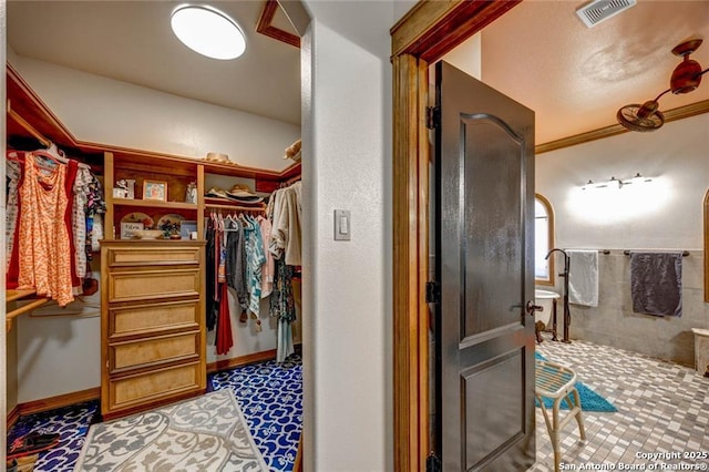 walk in closet with carpet