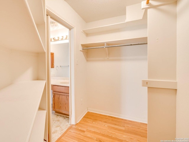 spacious closet with wood-type flooring