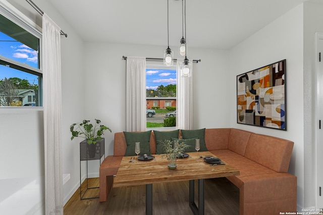 dining room with wood-type flooring and breakfast area