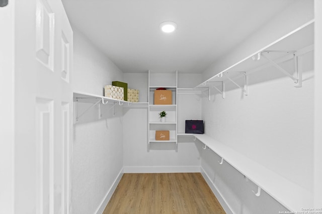 spacious closet with hardwood / wood-style floors