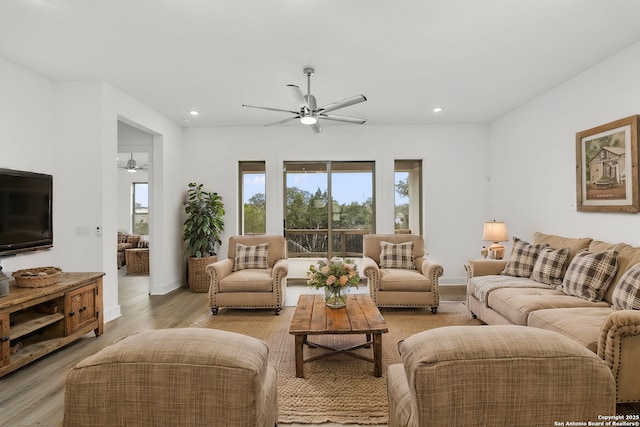 living room featuring light hardwood / wood-style floors