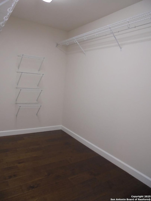 walk in closet with dark wood-type flooring