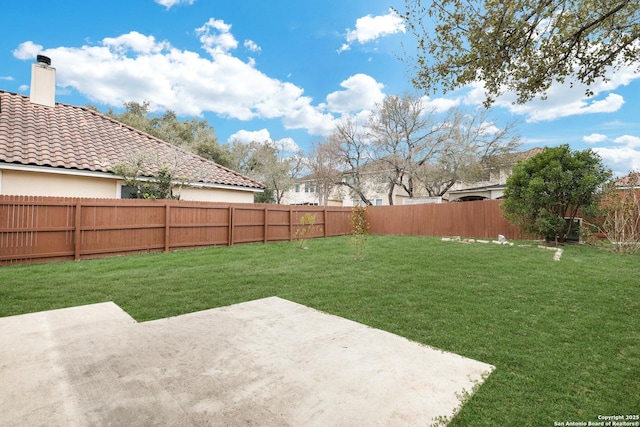 view of yard featuring a patio area