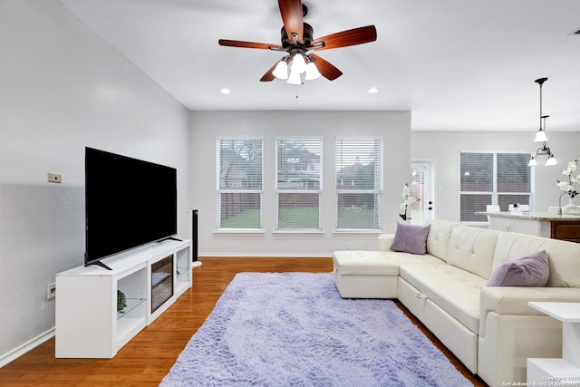 living room featuring ceiling fan and hardwood / wood-style flooring