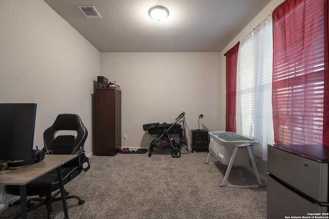 office space with plenty of natural light, carpet, and a textured ceiling