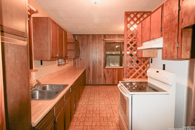 kitchen featuring electric stove, sink, and wooden walls