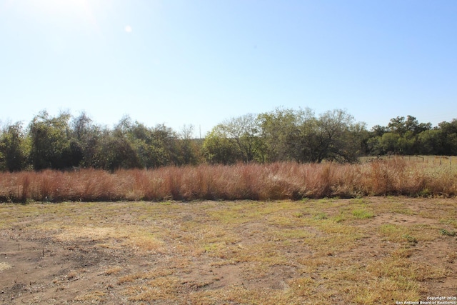 view of yard featuring a rural view