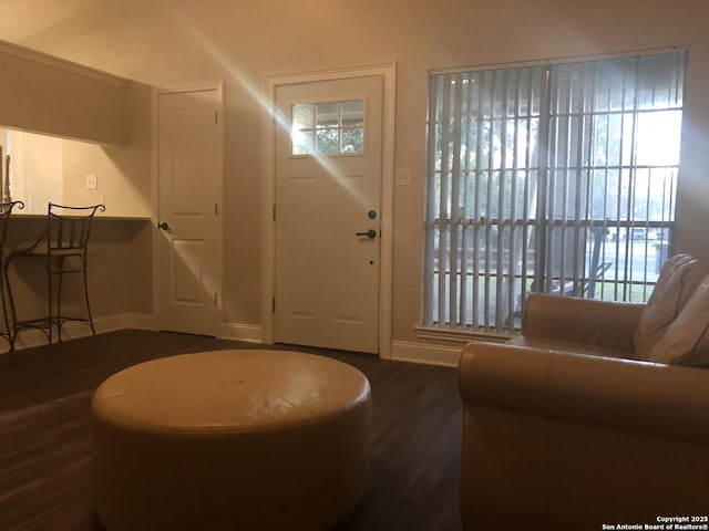 foyer entrance with dark wood-type flooring and plenty of natural light