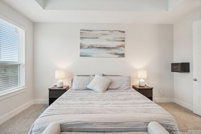 carpeted bedroom with a tray ceiling