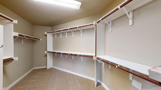 walk in closet with light colored carpet