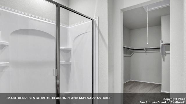 spacious closet with carpet floors