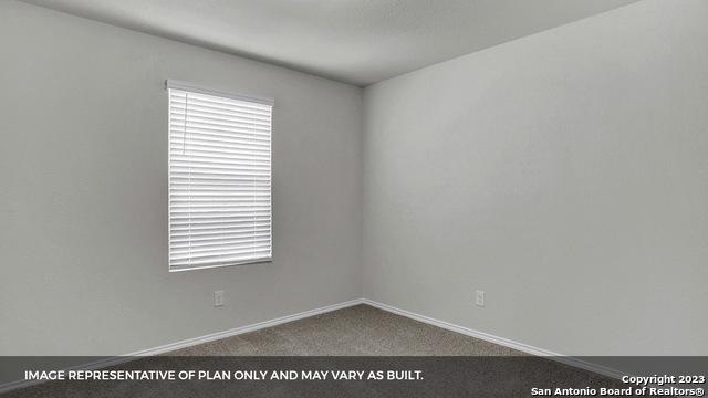 spare room with carpet