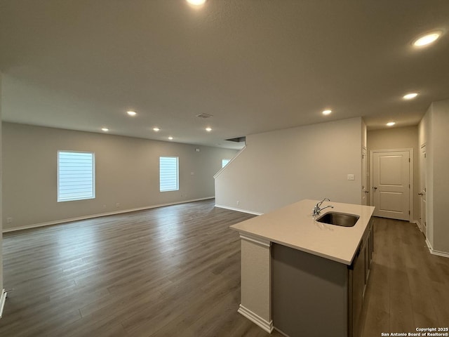 kitchen with a kitchen island with sink, sink, and dark hardwood / wood-style flooring