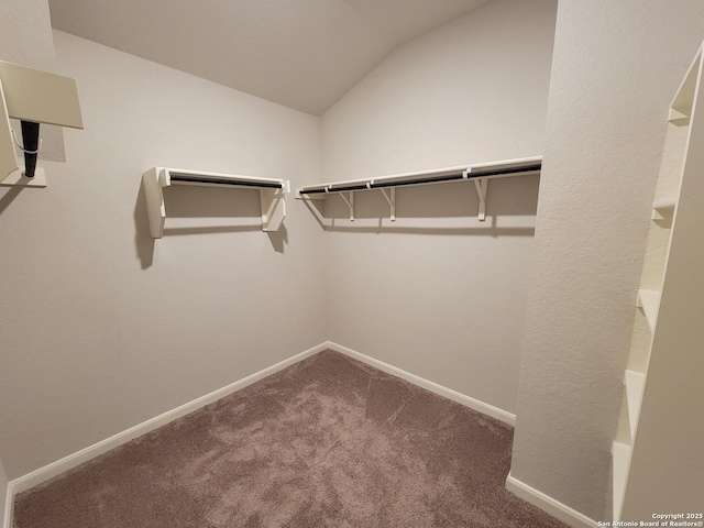 spacious closet featuring carpet flooring and vaulted ceiling