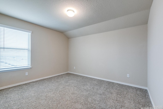 carpeted empty room with a wealth of natural light, lofted ceiling, and a textured ceiling