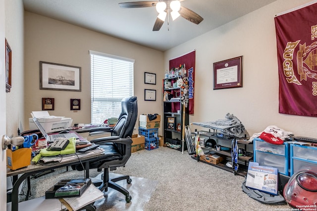 office space featuring ceiling fan and carpet floors