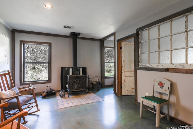 living area featuring ornamental molding and a wood stove