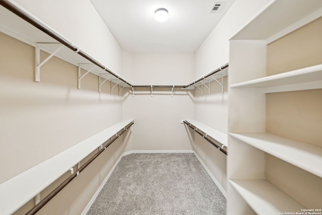 walk in closet featuring light colored carpet