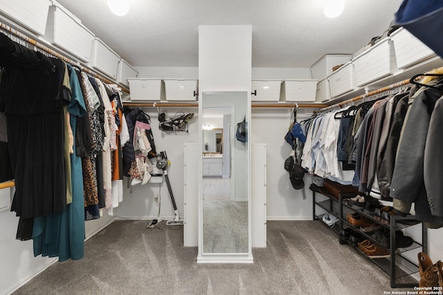 walk in closet featuring carpet flooring