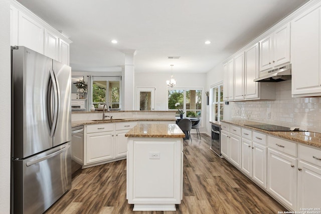 kitchen with appliances with stainless steel finishes, white cabinets, a sink, a peninsula, and under cabinet range hood