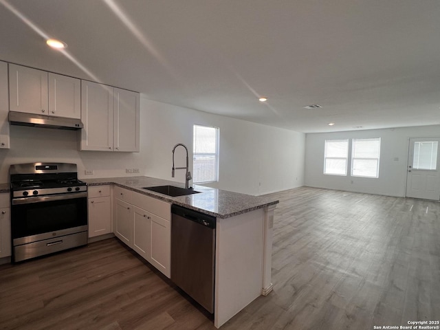 kitchen with sink, wood-type flooring, white cabinetry, and stainless steel appliances