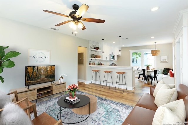 living room with ceiling fan and light hardwood / wood-style flooring