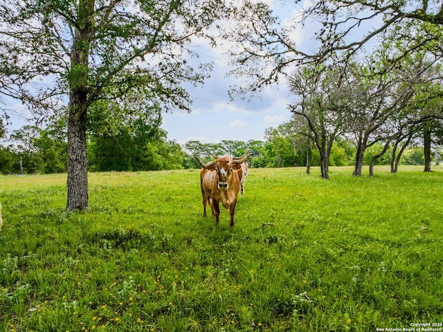 LOT1 Cosper, Comfort, TX 78013