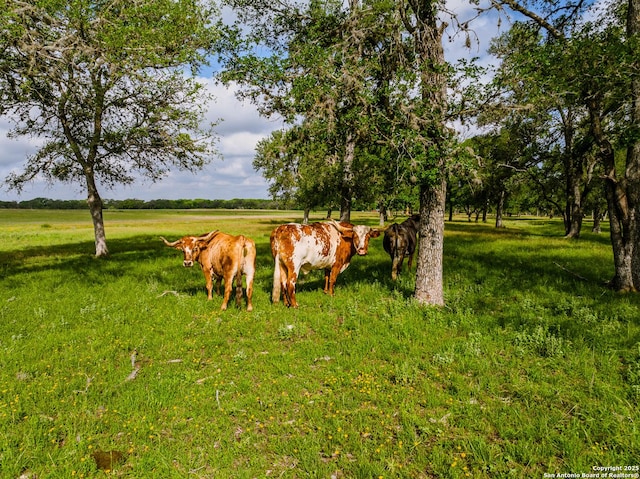 LOT1 Cosper, Comfort, TX 78013