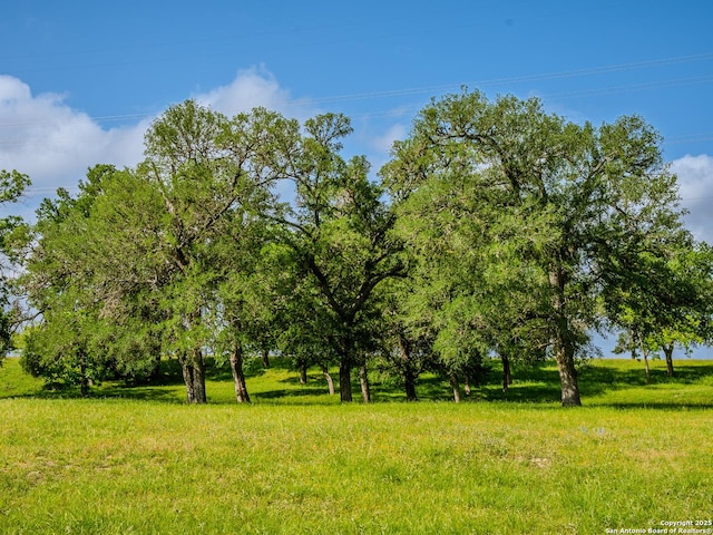 LOT1 Cosper, Comfort, TX 78013