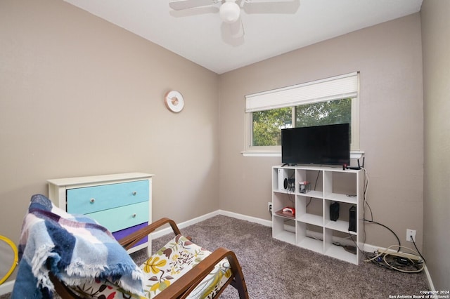 bedroom featuring ceiling fan and carpet