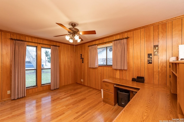 unfurnished office featuring light hardwood / wood-style floors, wooden walls, and ceiling fan