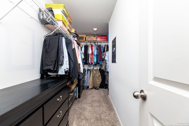 walk in closet featuring light colored carpet