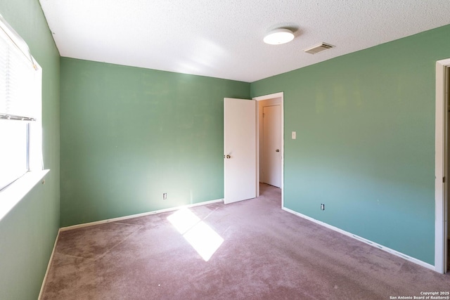 empty room with a wealth of natural light, carpet flooring, and a textured ceiling