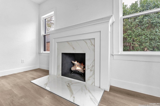 interior details featuring a premium fireplace and hardwood / wood-style flooring