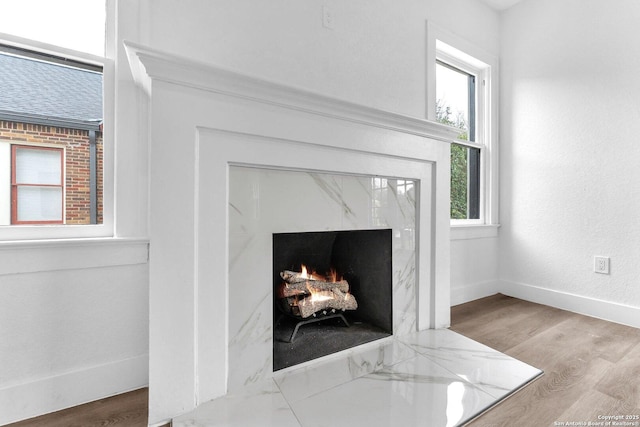 interior details with a high end fireplace and wood-type flooring