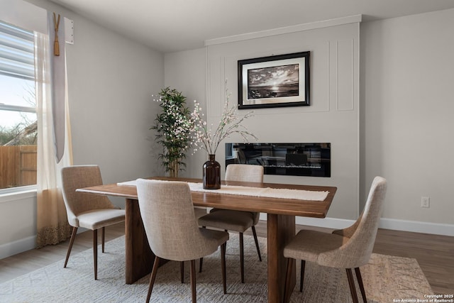 dining room with hardwood / wood-style flooring