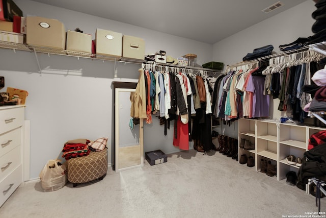 spacious closet with carpet floors