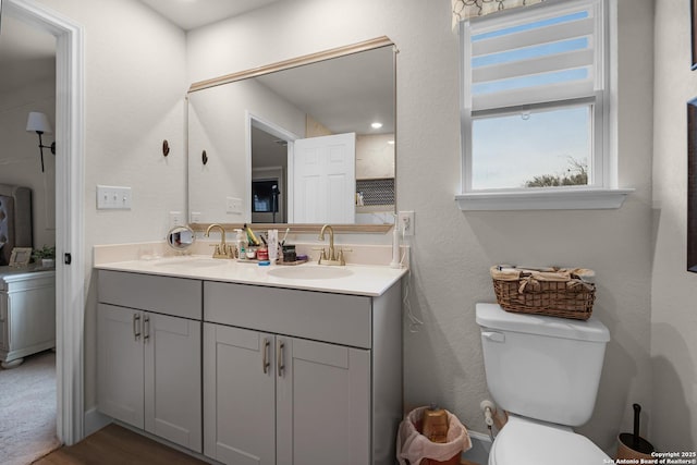 bathroom featuring vanity, toilet, and wood-type flooring