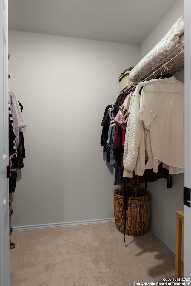 spacious closet featuring light carpet