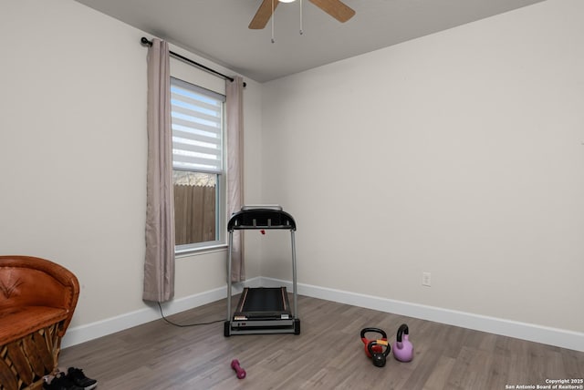 exercise room featuring ceiling fan and wood-type flooring