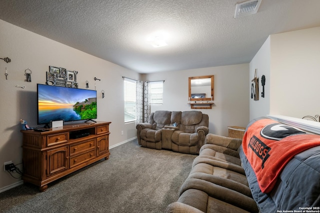 living room with carpet and a textured ceiling