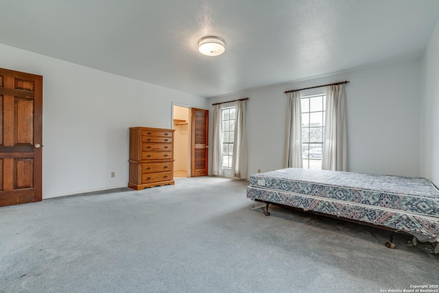 carpeted bedroom with a spacious closet