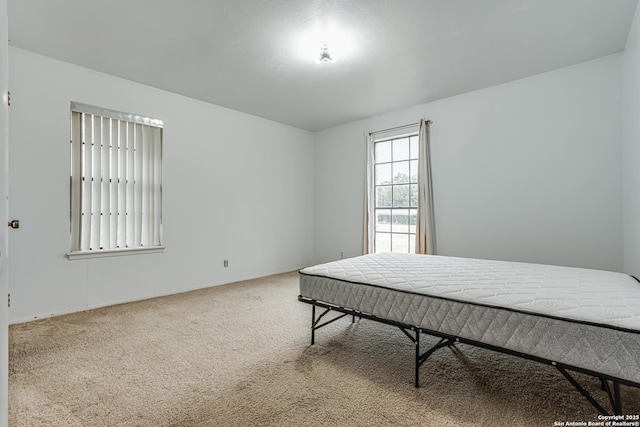 bedroom with carpet flooring