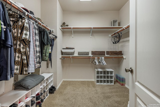 spacious closet featuring carpet flooring