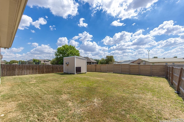 view of yard with a storage shed