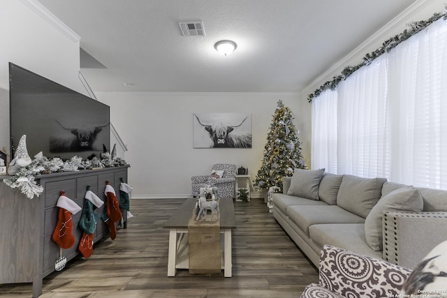 living room with ornamental molding, a textured ceiling, and dark hardwood / wood-style flooring